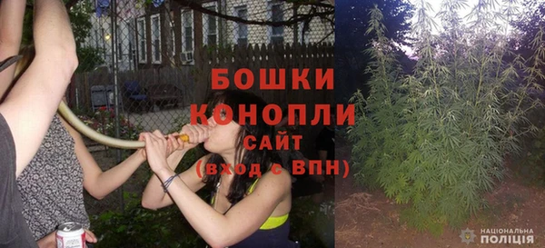 гашик Корсаков