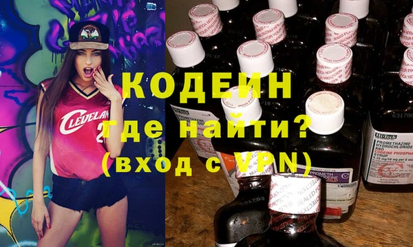 гашик Корсаков