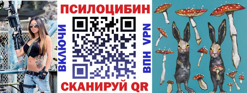 Псилоцибиновые грибы Psilocybe  купить   Печоры 
